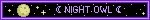 ☾ NIGHT OWL ☾