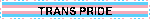 TRANS PRIDE