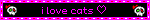 i love cats ♡