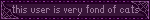 this user is very fond of cats