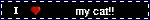 my cat!!