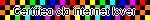 Certified old internet lover