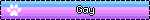 Gay