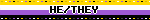 HE/THEY