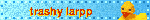 ♡♡ trashy larpp ♡♡