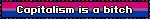 Capitalism is a bitch