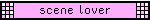 scene lover