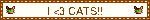 I 3 CATS!!