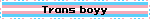 Trans boyy