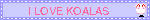 I LOVE KOALAS