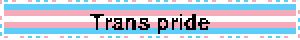 Trans pride