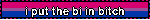 i put the bi in bitch