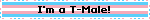 I'm a T-Male!