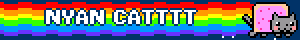 NYAN CATTTT