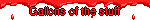 Gallons of the stuff