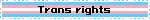 Trans rights