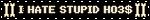 I HATE STUPID HO3$