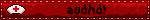 audhd!