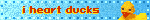 i heart ducks