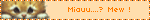 Miauu....? Mew !