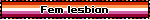 Fem lesbian
