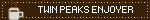 TWIN PEAKS ENJOYER