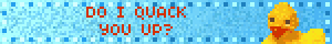 DO I QUACK YOU UP?