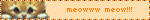 meowww meow!!!