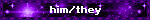 him/they