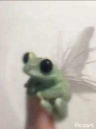 user pfp