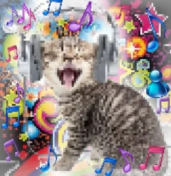 user pfp