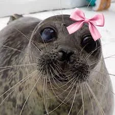 SEAL