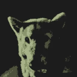 user pfp