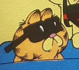 user pfp