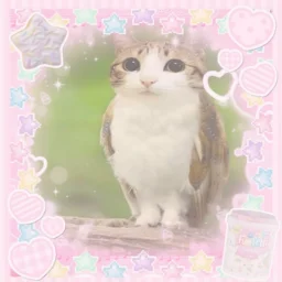 user pfp