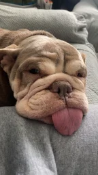 user pfp
