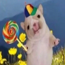 user pfp