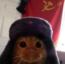 user pfp