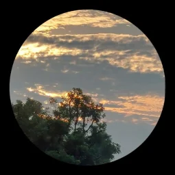 user pfp