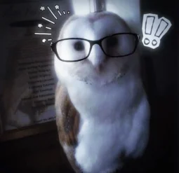 user pfp