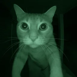 user pfp