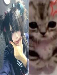 aylaisscared's profile picture