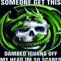 user pfp