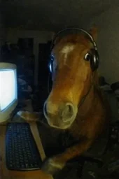 user pfp