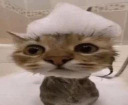 user pfp
