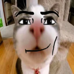 user pfp