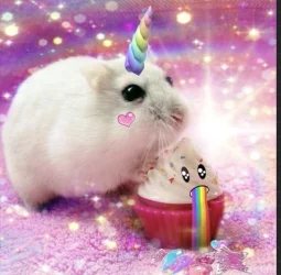 user pfp