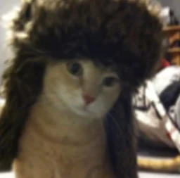 user pfp