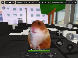 user pfp