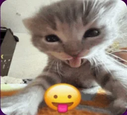 user pfp